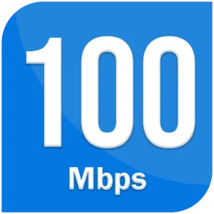 Speed 100 Mbps